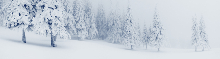neige